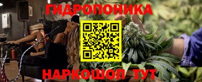 a pvp Лесосибирск