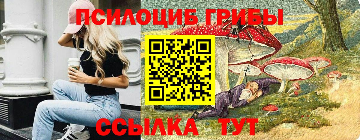Псилоцибиновые грибы Psilocybe Чебоксары